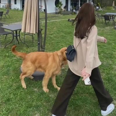 布鲁克林警察